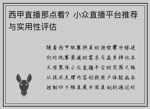 西甲直播那点看？小众直播平台推荐与实用性评估